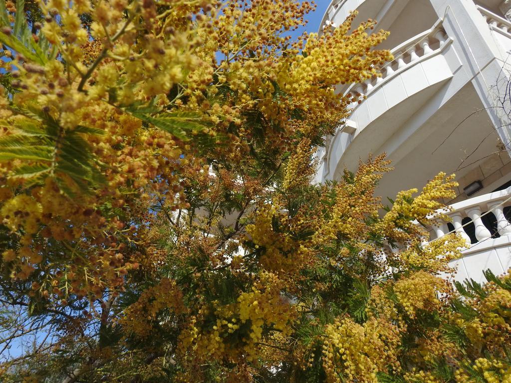 Apartments Villa Barbara Sumartin Dış mekan fotoğraf
