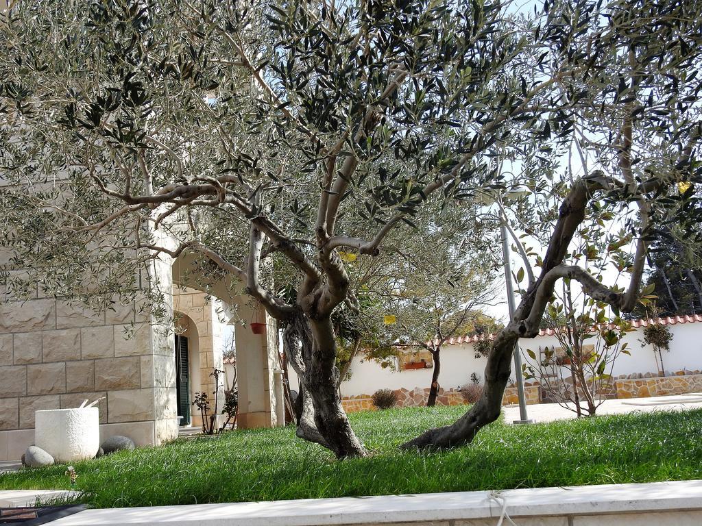 Apartments Villa Barbara Sumartin Dış mekan fotoğraf