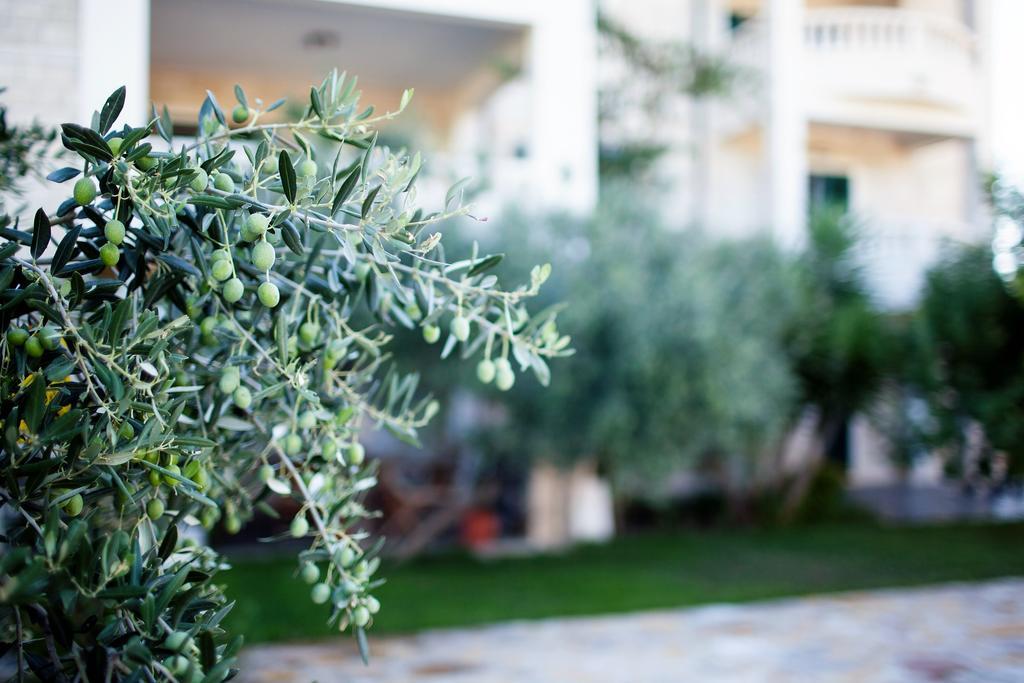 Apartments Villa Barbara Sumartin Dış mekan fotoğraf